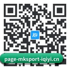 系统版 iOS 二维码